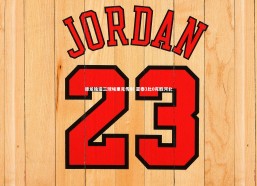 【九游会j9】谭龙独造三球埃里克传射 亚泰3比0完胜河北